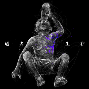 国产成人手机在线视频在线观看
