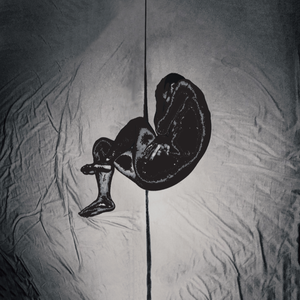 国产成人手机在线视频在线观看
